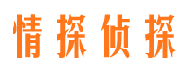 白塔外遇调查取证